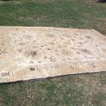 9Ft 8inch x 13Ft 10inch Wool Rug